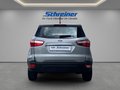 Daumennagel 4 - Ford EcoSport Cool & Connect
