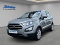 Daumennagel 1 - Ford EcoSport Cool & Connect