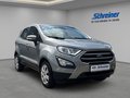 Daumennagel 7 - Ford EcoSport Cool & Connect