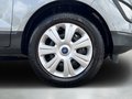 Daumennagel 9 - Ford EcoSport Cool & Connect