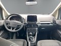 Daumennagel 13 - Ford EcoSport Cool & Connect