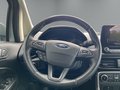 Daumennagel 14 - Ford EcoSport Cool & Connect