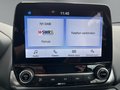 Daumennagel 15 - Ford EcoSport Cool & Connect
