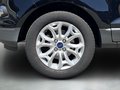 Daumennagel 9 - Ford EcoSport Titanium