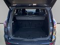 Daumennagel 10 - Ford S-MAX Hybrid ST-Line