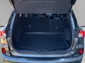 Daumennagel 10 - Ford Kuga Plug-In Hybrid ST-Line X
