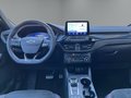 Daumennagel 13 - Ford Kuga Plug-In Hybrid ST-Line X