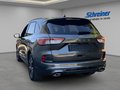 Daumennagel 3 - Ford Kuga Plug-In Hybrid ST-Line X