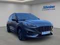 Daumennagel 7 - Ford Kuga Plug-In Hybrid ST-Line X