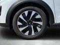 Daumennagel 9 - Ford Puma Titanium