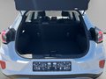 Daumennagel 10 - Ford Puma Titanium