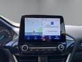 Daumennagel 15 - Ford Puma Titanium