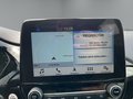 Daumennagel 15 - Ford Fiesta Active