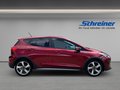 Daumennagel 6 - Ford Fiesta Active