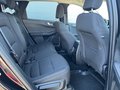 Daumennagel 15 - Ford Kuga Plug-In Hybrid Titanium