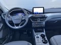 Daumennagel 10 - Ford Kuga Plug-In Hybrid Titanium