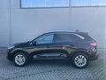 Daumennagel 8 - Ford Kuga Plug-In Hybrid Titanium