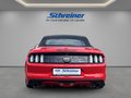 Daumennagel 4 - Ford Mustang GT Convertible