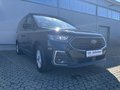 Daumennagel 2 - Ford Grand Tourneo Connect Titanium
