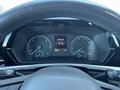 Daumennagel 16 - Ford Grand Tourneo Connect Titanium
