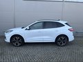 Daumennagel 8 - Ford Kuga Plug-In Hybrid ST-Line X
