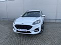 Daumennagel 1 - Ford Kuga Plug-In Hybrid ST-Line X