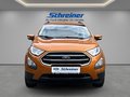 Daumennagel 8 - Ford EcoSport Cool & Connect