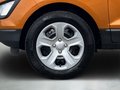 Daumennagel 9 - Ford EcoSport Cool & Connect