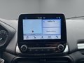 Daumennagel 15 - Ford EcoSport Cool & Connect