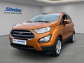 Daumennagel 1 - Ford EcoSport Cool & Connect