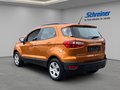 Daumennagel 3 - Ford EcoSport Cool & Connect