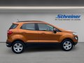 Daumennagel 6 - Ford EcoSport Cool & Connect