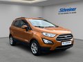 Daumennagel 7 - Ford EcoSport Cool & Connect