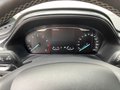 Daumennagel 19 - Ford Puma Titanium ACC | Rückfahrkamera
