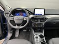 Daumennagel 11 - Ford Kuga Plug-In Hybrid Titanium X