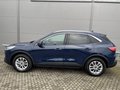 Daumennagel 8 - Ford Kuga Plug-In Hybrid Titanium X