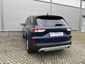 Daumennagel 4 - Ford Kuga Plug-In Hybrid Titanium X