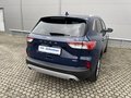 Daumennagel 6 - Ford Kuga Plug-In Hybrid Titanium X