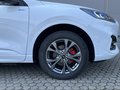 Daumennagel 4 - Ford Kuga Plug-In Hybrid ST-Line X