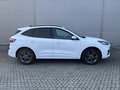 Daumennagel 5 - Ford Kuga Plug-In Hybrid ST-Line X