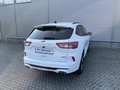 Daumennagel 6 - Ford Kuga Plug-In Hybrid ST-Line X