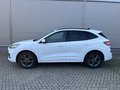 Daumennagel 9 - Ford Kuga Plug-In Hybrid ST-Line X