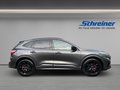 Daumennagel 6 - Ford Kuga ST-Line X