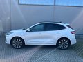 Daumennagel 4 - Ford Kuga Plug-In Hybrid ST-Line X mit AHK schwenkbar