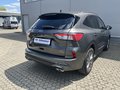 Daumennagel 5 - Ford Kuga Plug-In Hybrid ST-Line X