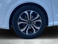 Daumennagel 9 - Ford Puma ST-Line