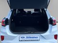 Daumennagel 10 - Ford Puma ST-Line
