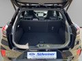 Daumennagel 10 - Ford Puma ST