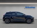 Daumennagel 6 - Ford Puma ST