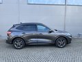 Daumennagel 7 - Ford Kuga ST-Line